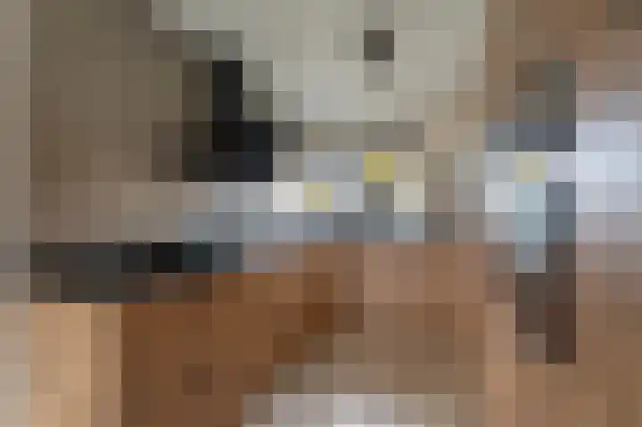Mispelstraat 6 Rockanje thumbnail 4