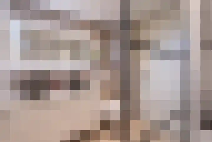 Mispelstraat 6 Rockanje thumbnail 5