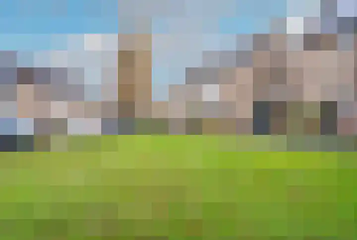 Mispelstraat 6 Rockanje thumbnail 7