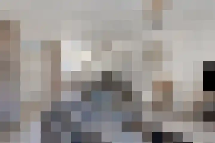 Misse 7 Gemert thumbnail 12