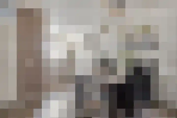 Misse 7 Gemert thumbnail 14