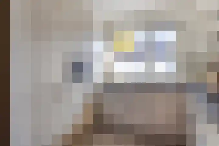 Misse 7 Gemert thumbnail 17