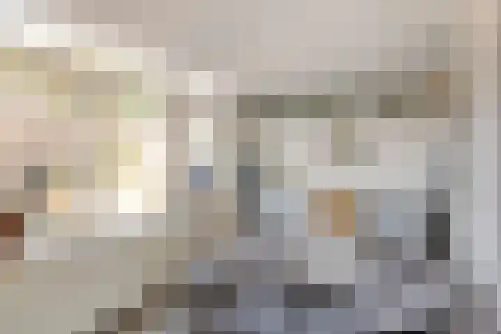 Misse 7 Gemert thumbnail 19