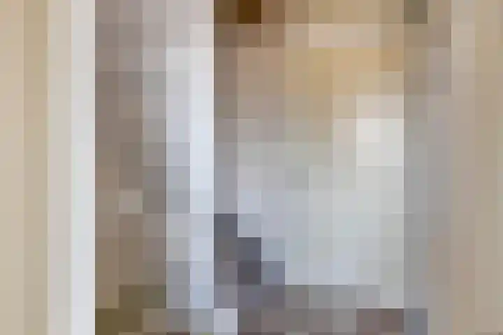 Misse 7 Gemert thumbnail 20