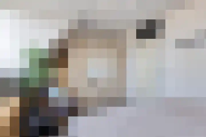 Misse 7 Gemert thumbnail 22