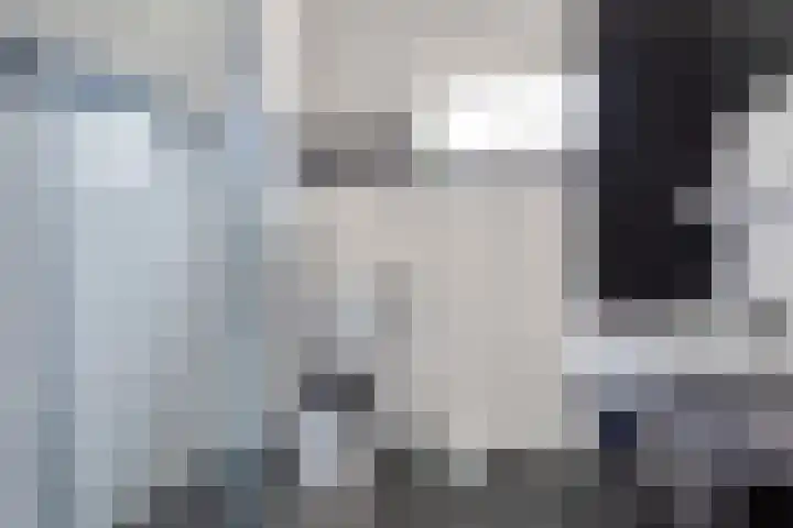 Misse 7 Gemert thumbnail 23