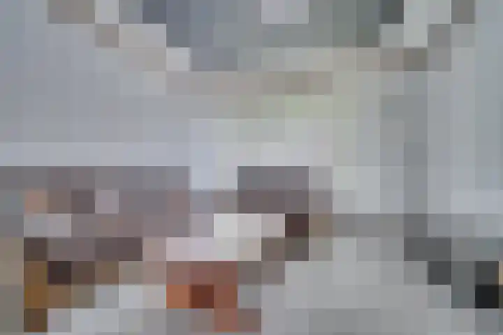 Misse 7 Gemert thumbnail 26