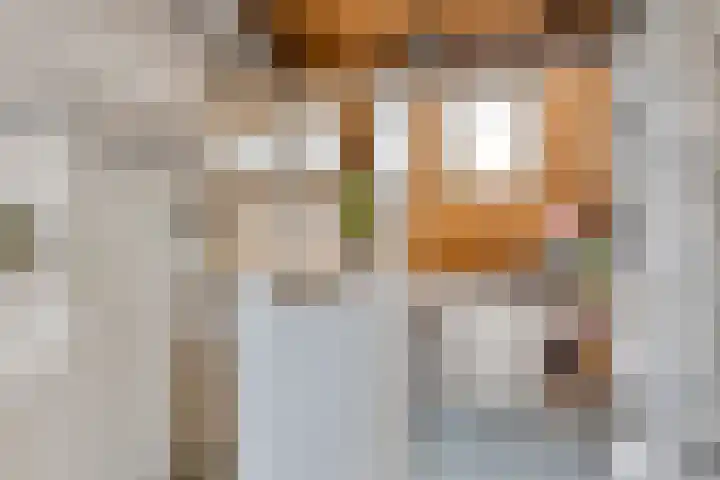 Misse 7 Gemert thumbnail 26