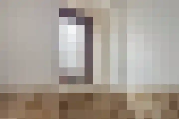 Misse 7 Gemert foto 3