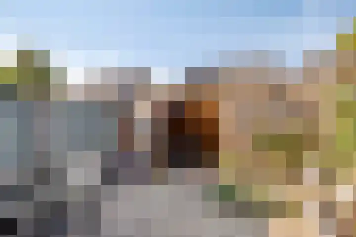 Misse 7 Gemert thumbnail 30