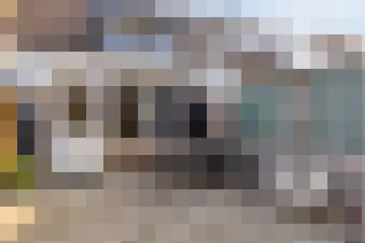 Misse 7 Gemert thumbnail 31