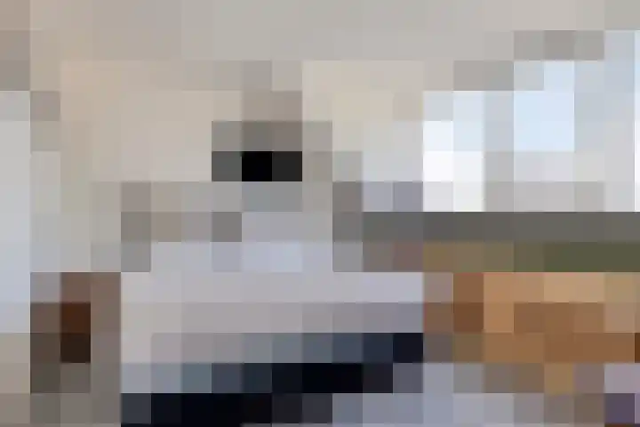 Misse 7 Gemert thumbnail 4