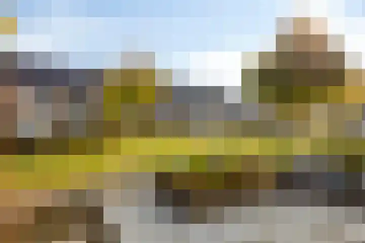 Misse 7 Gemert thumbnail 5