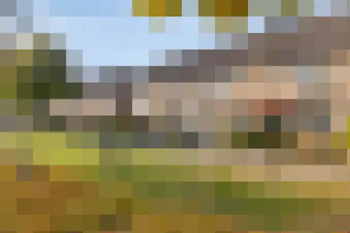 Misse 7 Gemert thumbnail 7