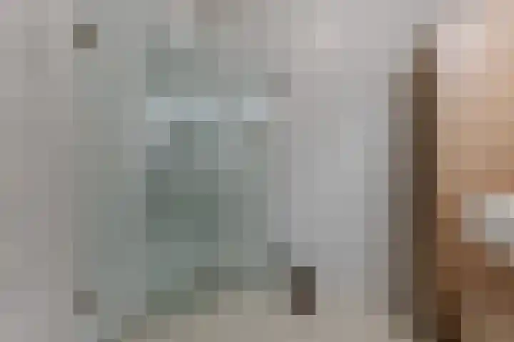 Misse 7 Gemert thumbnail 8