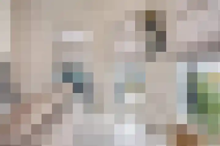 Missielaan 16 Uden thumbnail 10