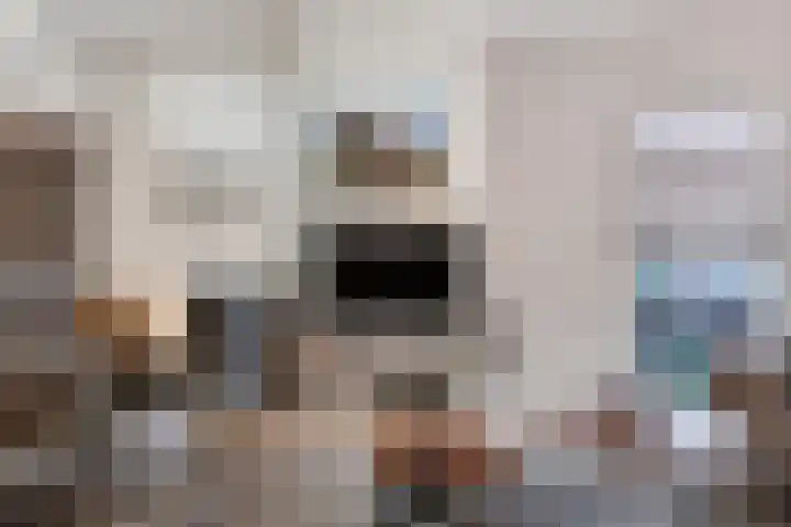 Missielaan 16 Uden thumbnail 11