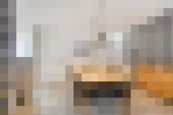 Missielaan 16 Uden thumbnail 12