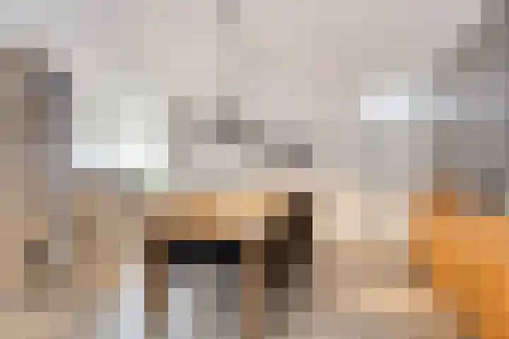 Missielaan 16 Uden thumbnail 13