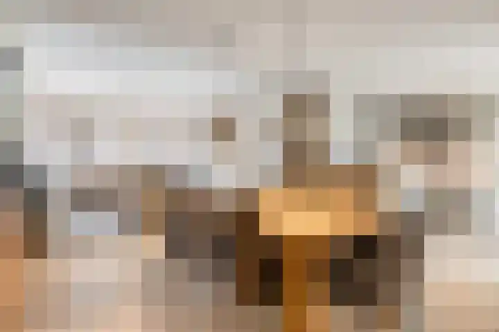 Missielaan 16 Uden thumbnail 14