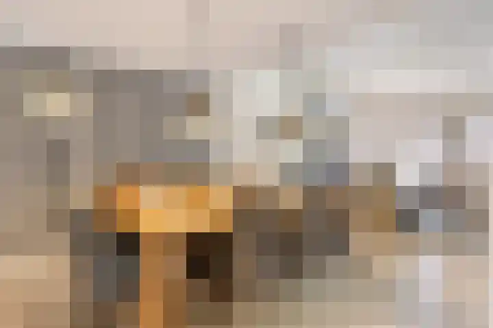 Missielaan 16 Uden thumbnail 15
