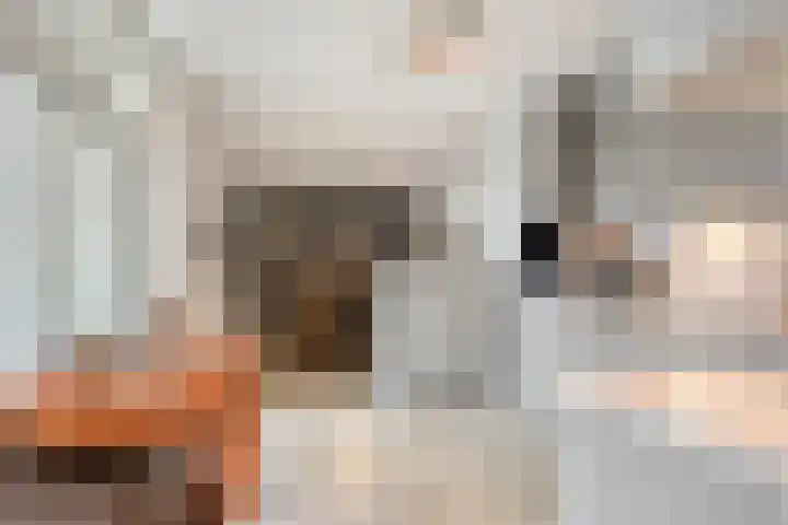 Missielaan 16 Uden thumbnail 18