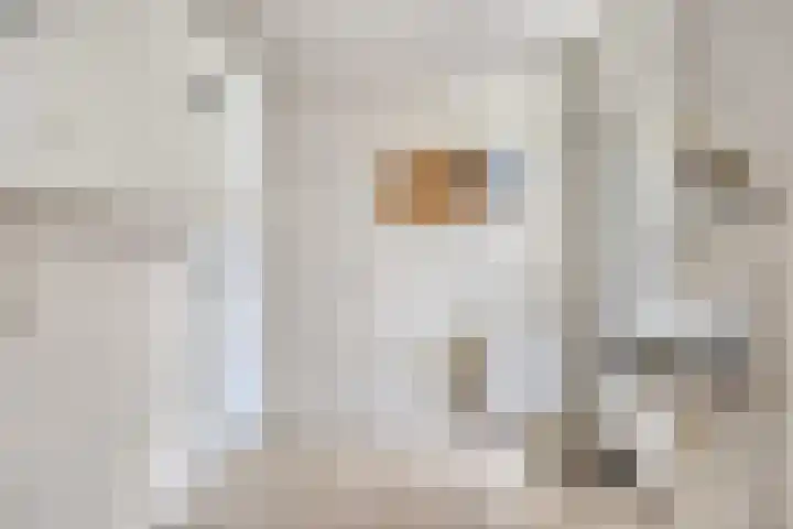 Missielaan 16 Uden thumbnail 19