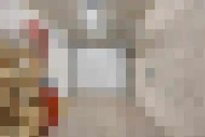 Missielaan 16 Uden thumbnail 35