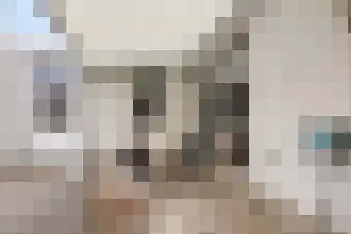 Missielaan 16 Uden thumbnail 37