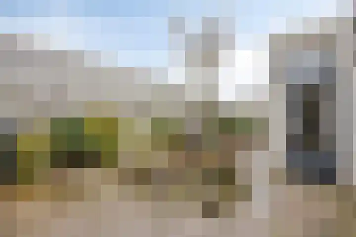 Missielaan 16 Uden thumbnail 38