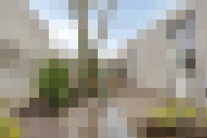 Missielaan 16 Uden thumbnail 39