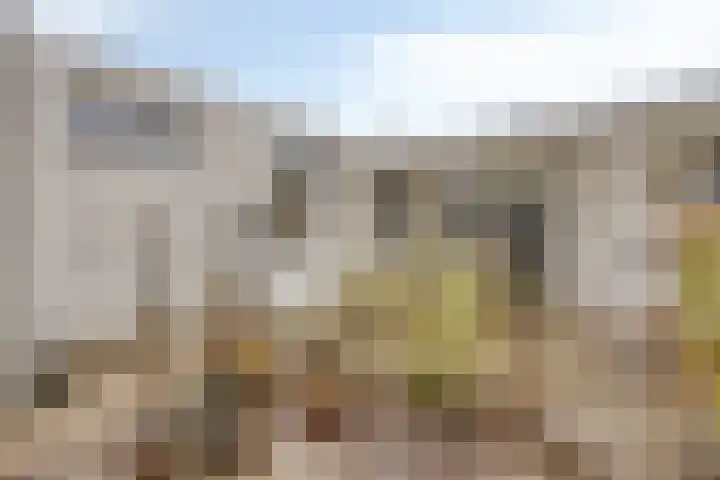 Missielaan 16 Uden thumbnail 42
