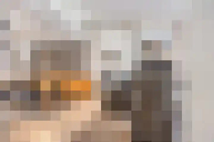 Missielaan 16 Uden thumbnail 6