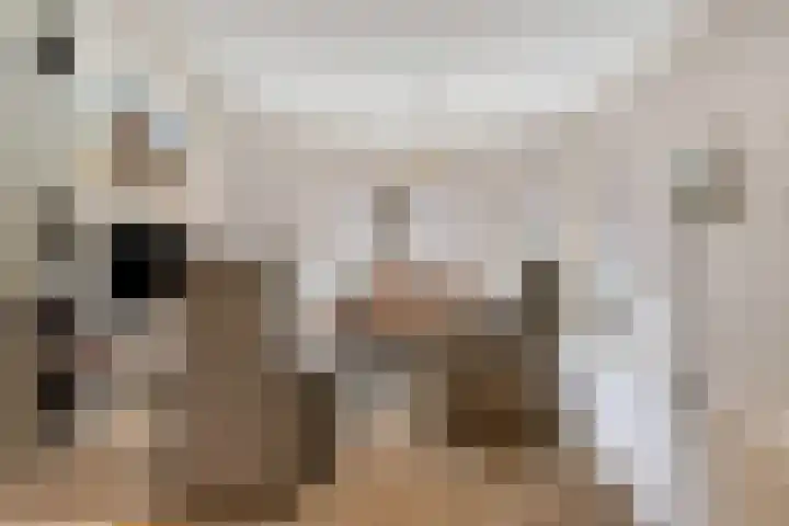 Missielaan 16 Uden thumbnail 7