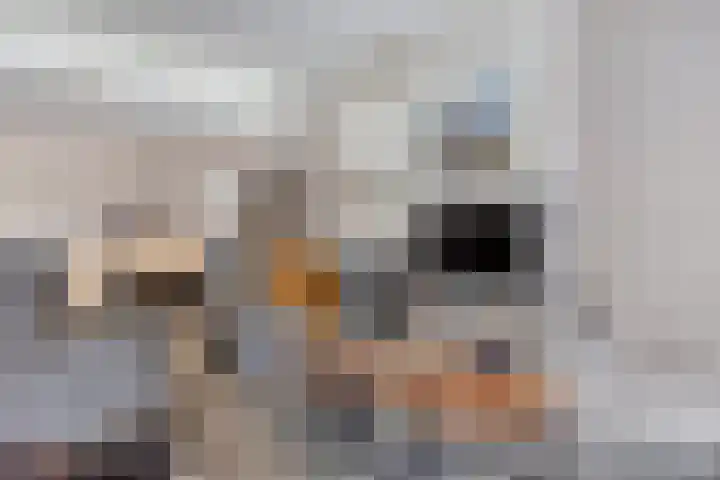 Missielaan 16 Uden thumbnail 9