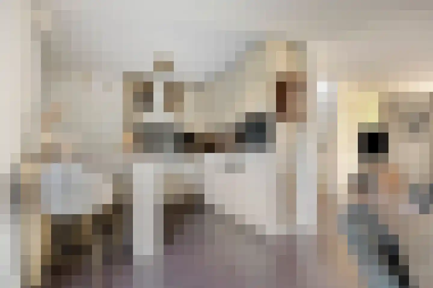 Missielaan 26 Uden thumbnail 14