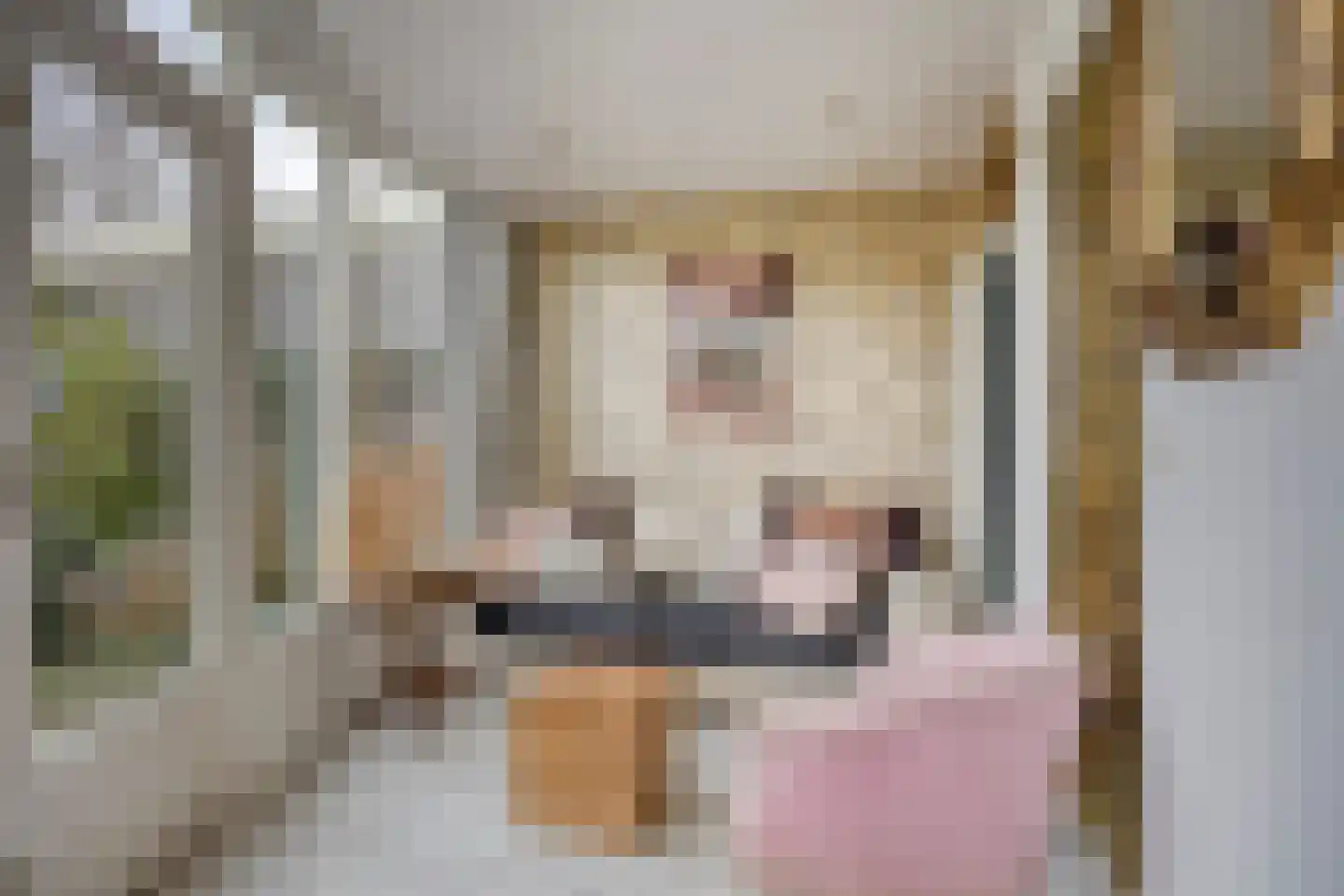 Missielaan 26 Uden thumbnail 14