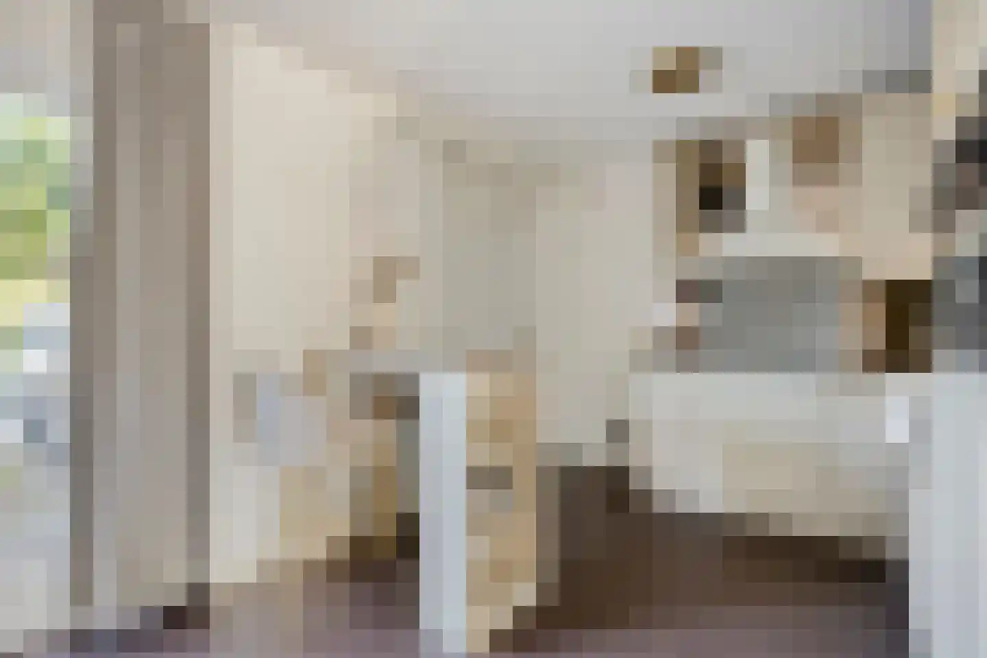 Missielaan 26 Uden thumbnail 15