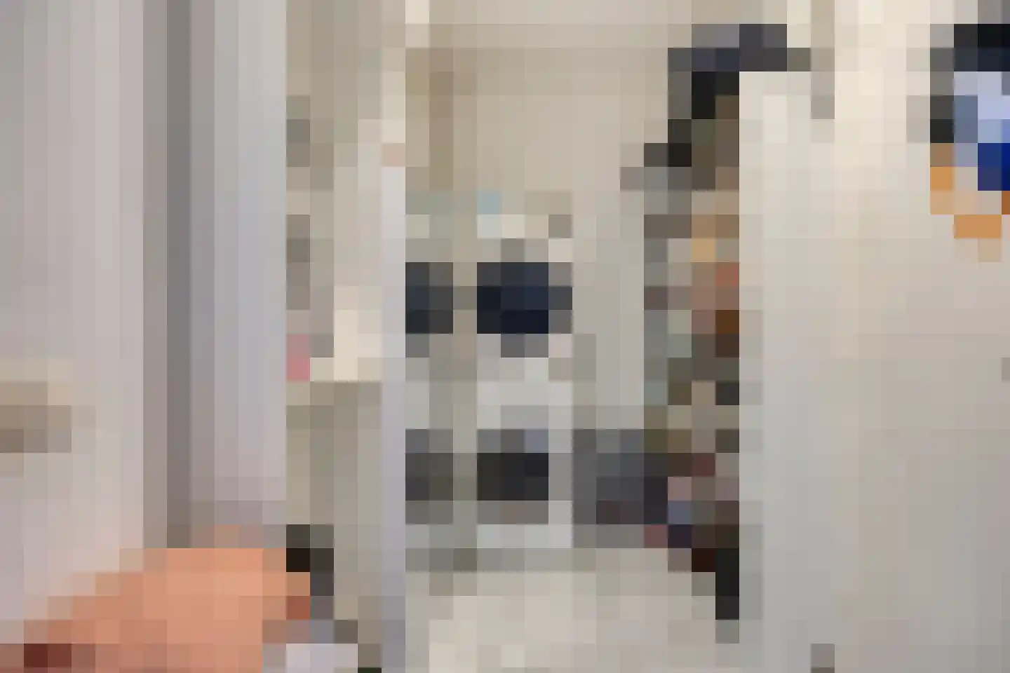Missielaan 26 Uden thumbnail 16
