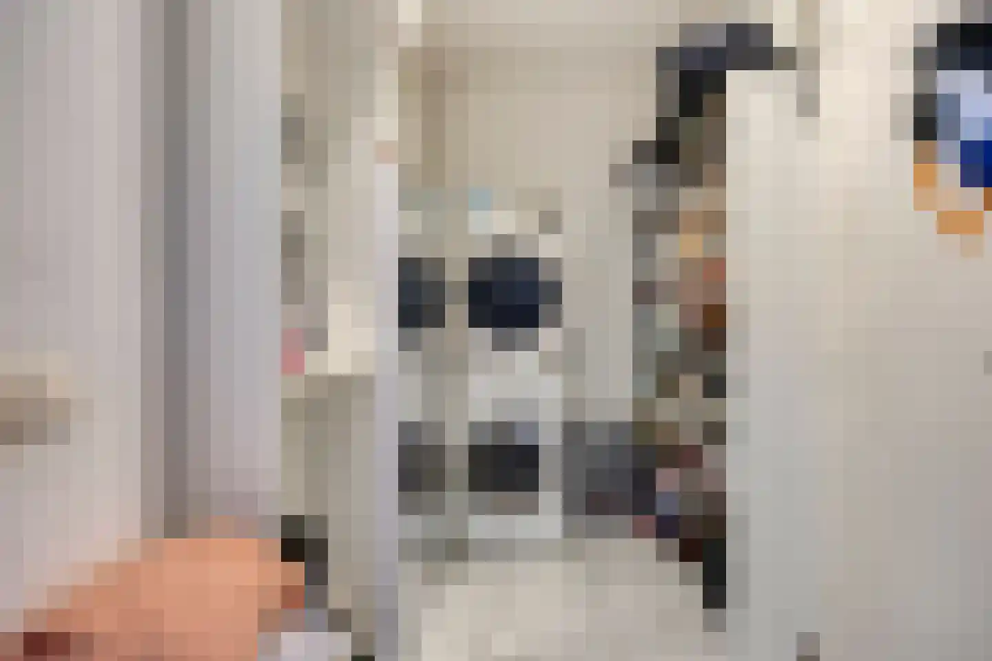 Missielaan 26 Uden thumbnail 18