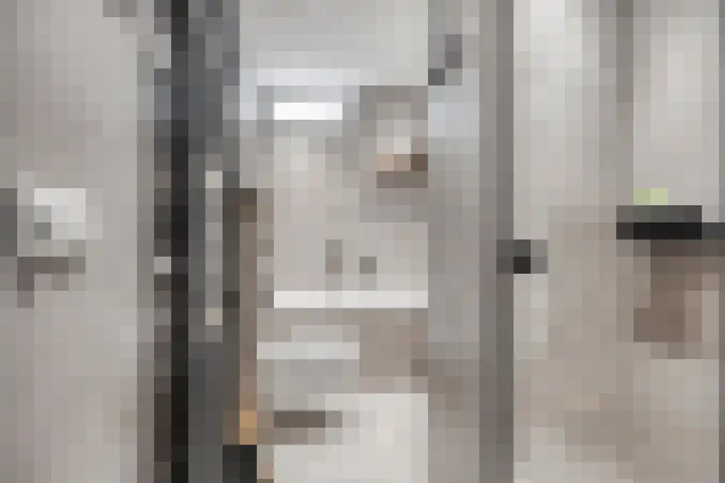 Missielaan 26 Uden thumbnail 23