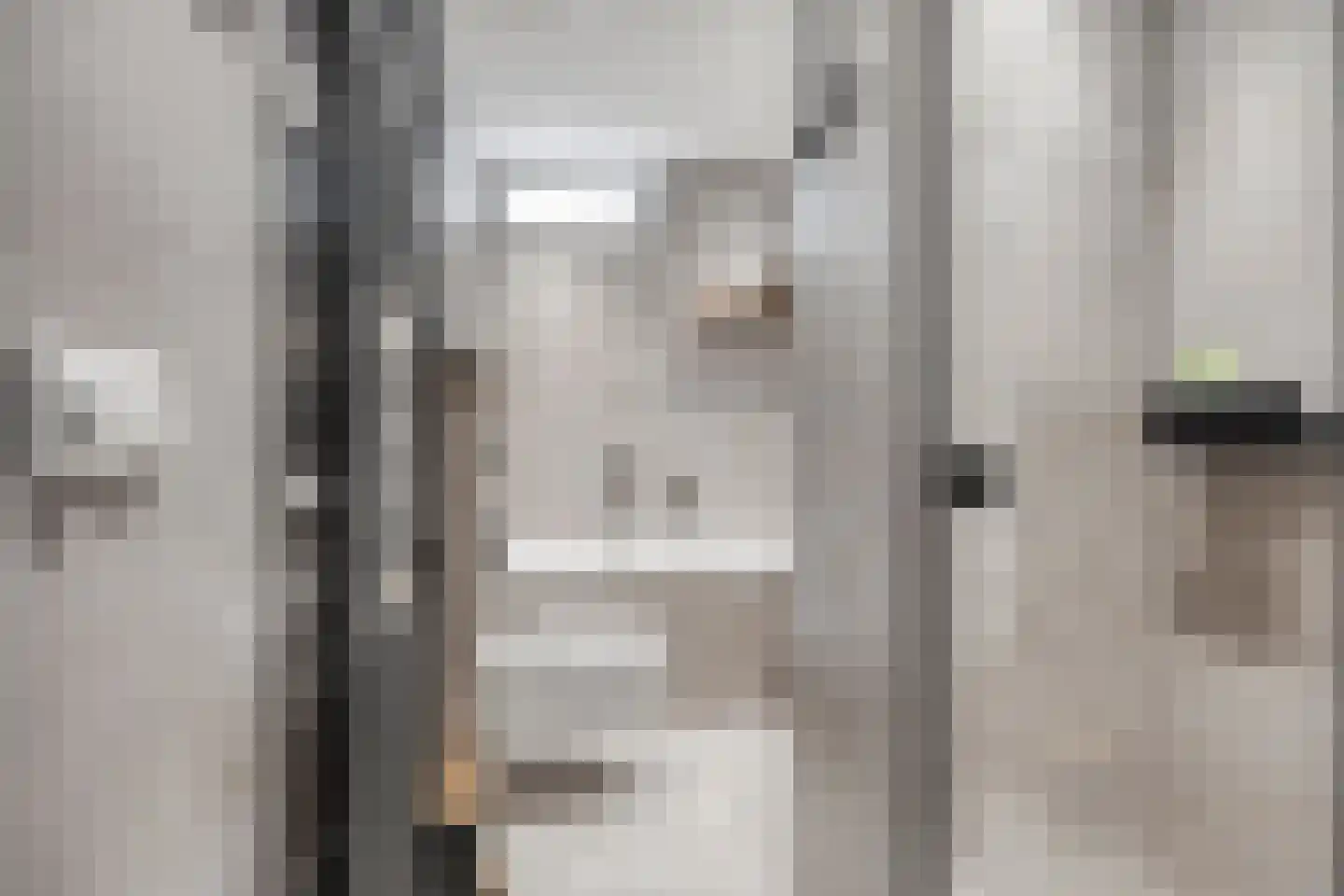 Missielaan 26 Uden foto 3