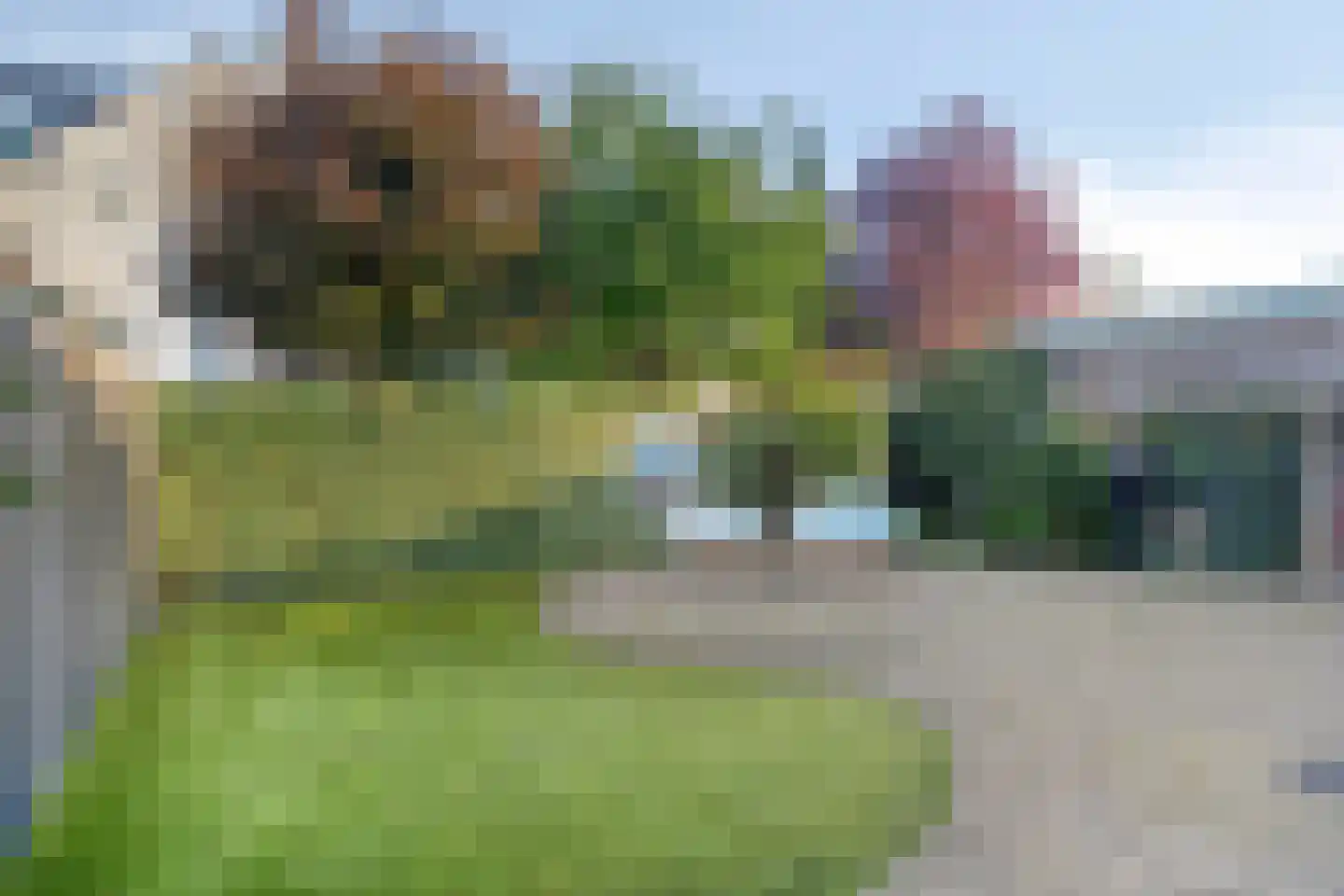 Missielaan 26 Uden thumbnail 31