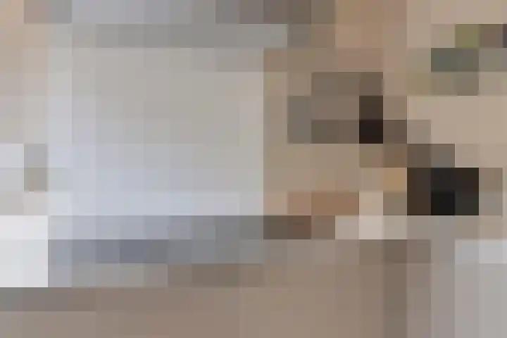 Missielaan 30 Uden thumbnail 10