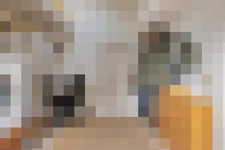 Missielaan 30 Uden thumbnail 11