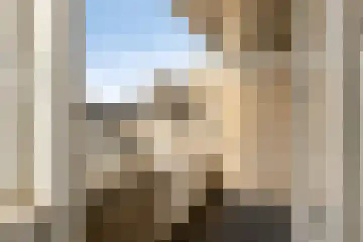 Missielaan 30 Uden thumbnail 21