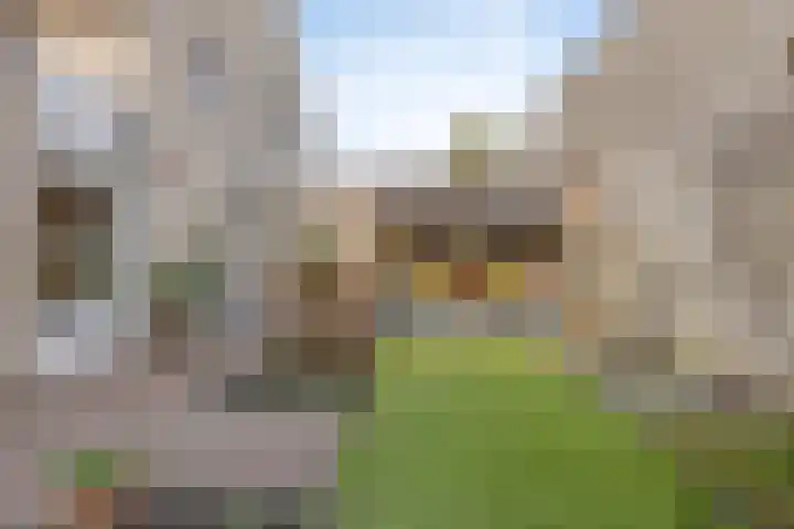 Missielaan 30 Uden thumbnail 29