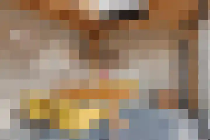 Missielaan 30 Uden thumbnail 30