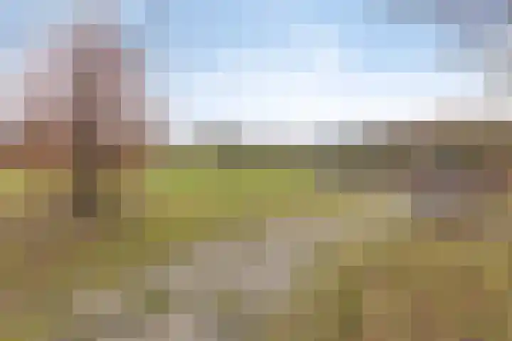 Missielaan 30 Uden thumbnail 34