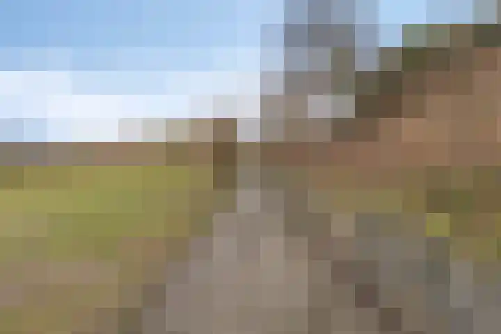 Missielaan 30 Uden thumbnail 35